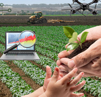 Precision Crop Management Testbed